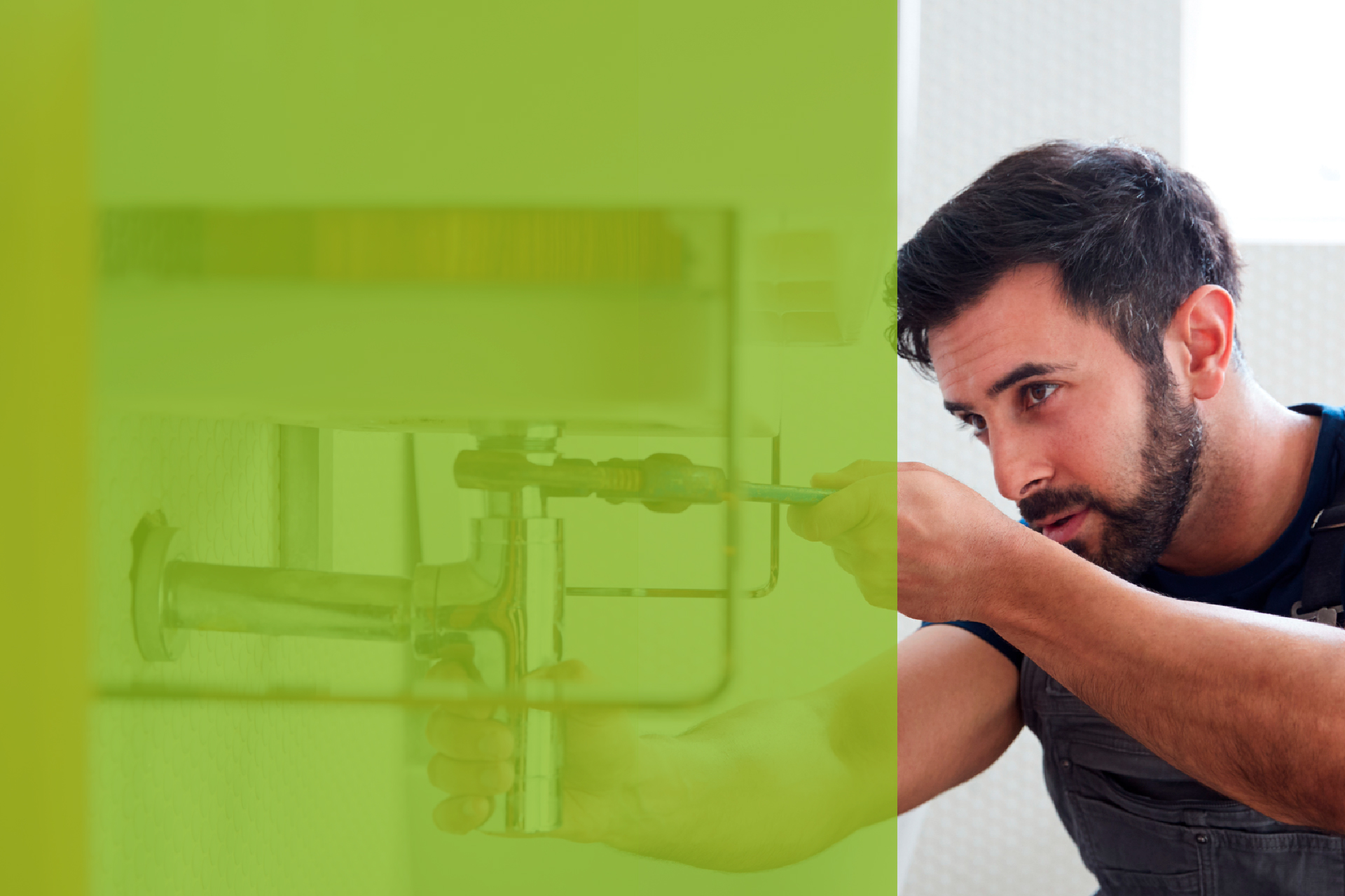 Área para profesionales