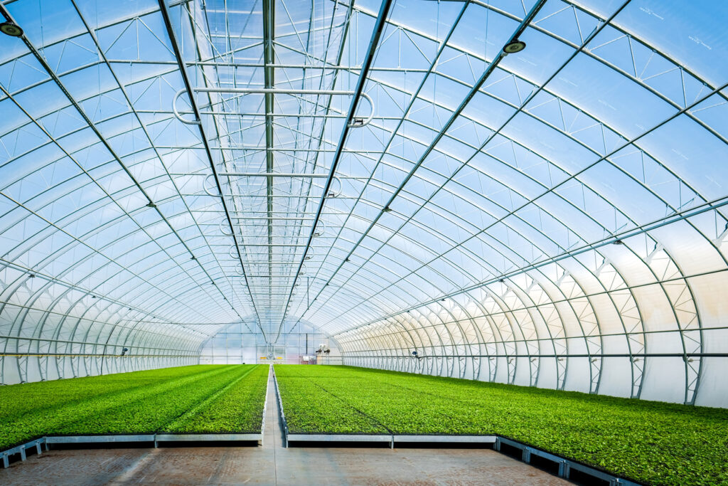 Climatización eficiente en invernaderos durante el invierno