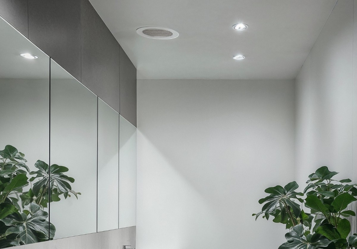 Renovación constante y eficaz