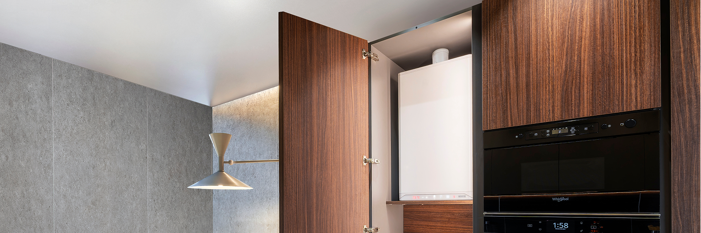 Calderas y Calentadores